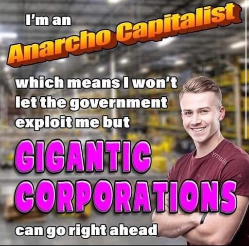 Smiling young man in foreground with large warehouse in background. Text overlay: I'm an Anarcho Capitalist which means I won't let the government exploit me but GIGANTIC CORPORATIONS can go right ahead